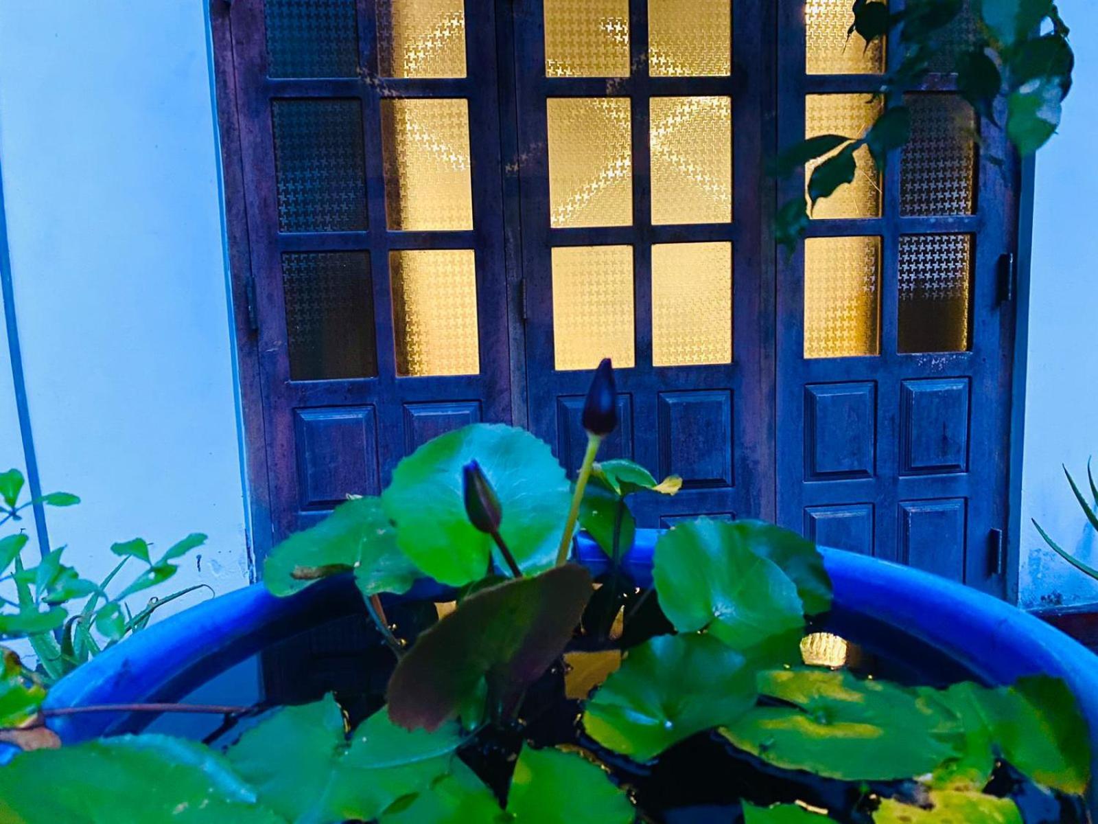 Sachi'S Place Tangalle Exteriör bild